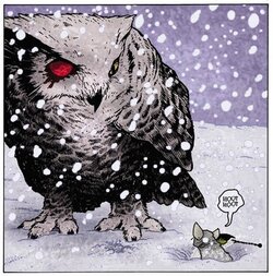 owl.jpg owl.jpg