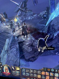 IMG_2229.jpeg IMG_2229.jpeg