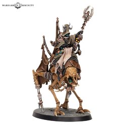 ash waste shaman.jpg ash waste shaman.jpg
