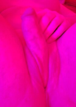 r7h1ad3daa9c1.jpg r7h1ad3daa9c1.jpg