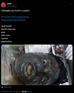 Twomad1.png Twomad1.png