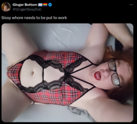 1710453462018.png 1710453462018.png