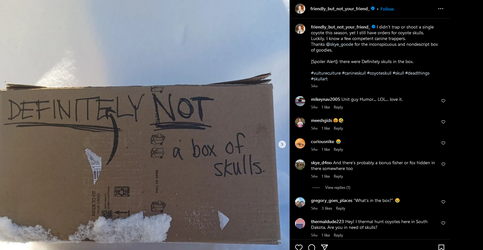 delta Jesse Boettcher LUNATIC SKULLS 1.png delta Jesse Boettcher LUNATIC SKULLS 1.png