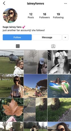 fake_fan_account_3.jpeg fake_fan_account_3.jpeg