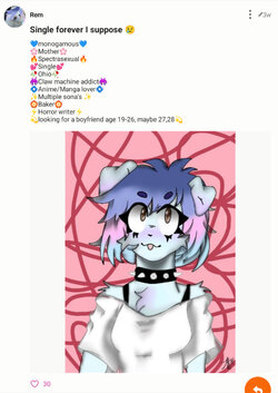 mpus1.jpg mpus1.jpg