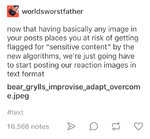 7B04384F-7CE9-465A-9D32-08848B7AB983.jpeg 7B04384F-7CE9-465A-9D32-08848B7AB983.jpeg
