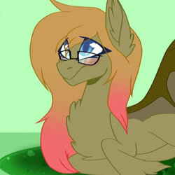 Gmail Profile Picture.jpg Gmail Profile Picture.jpg