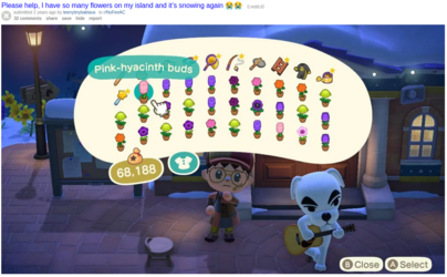 flowers-reddit.png flowers-reddit.png