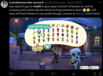 flowers-twitter.png flowers-twitter.png