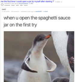 t4.png t4.png