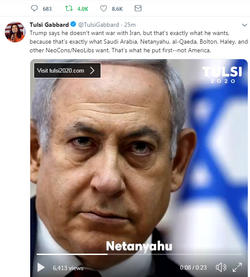 tulsi gabbard israel first.png tulsi gabbard israel first.png