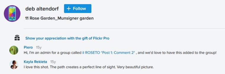 A Kayla Comment.png A Kayla Comment.png