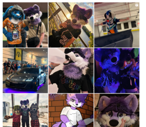 furry pic 4.PNG furry pic 4.PNG