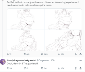 neerfinalwords.PNG neerfinalwords.PNG
