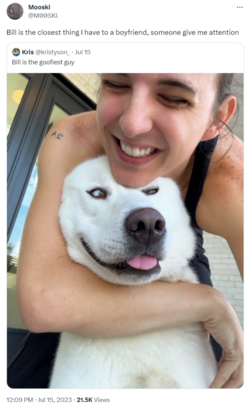 Jul15.png Jul15.png
