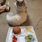 longfurb3.jpg longfurb3.jpg