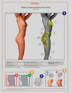 Anatomyforsculptors_2014_Page_059.png Anatomyforsculptors_2014_Page_059.png