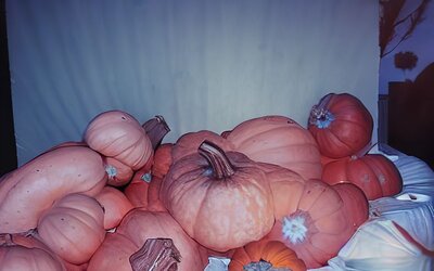 07f.jpg 07f.jpg