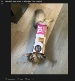 categg.png categg.png