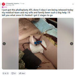 Brickdog4.jpg Brickdog4.jpg
