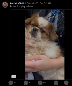 d Zoomer with Sammy (download vid later).png d Zoomer with Sammy (download vid later).png