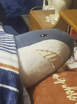 1731946096166.png 1731946096166.png