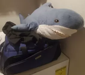 1731946162267.png 1731946162267.png