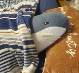 1731946186063.png 1731946186063.png