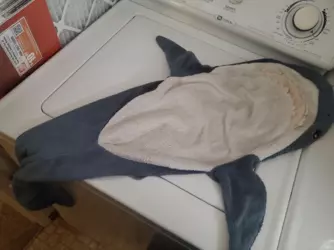 1731946296824.png 1731946296824.png