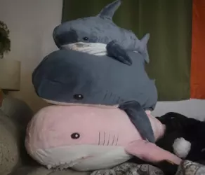 1731946669514.png 1731946669514.png