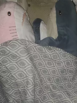 1731946744072.png 1731946744072.png