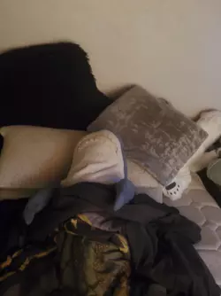 1731947574530.png 1731947574530.png