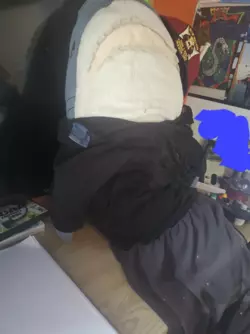 1731947703104.png 1731947703104.png
