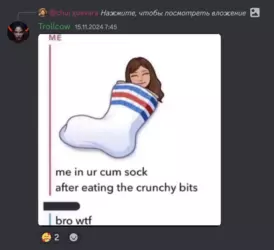 1732121446383.png 1732121446383.png