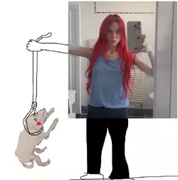 1732121913578.png 1732121913578.png
