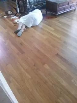 1733495589620.png 1733495589620.png