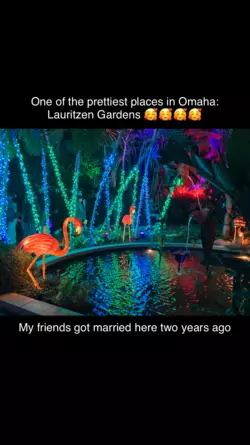 1735924504679.png 1735924504679.png