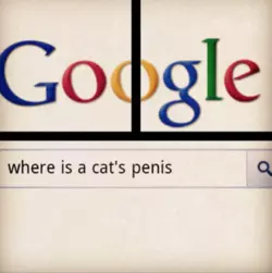 1736843101047.png 1736843101047.png