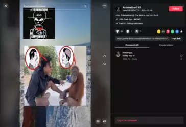 Screenshot 2025-01-24 at 19-03-21 user50839247737 (@totenation333) TikTok.png Screenshot 2025-01-24 at 19-03-21 user50839247737 (@totenation333) TikTok.png