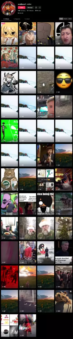 Screenshot 2025-01-24 at 19-06-30 xcalibur (@xcalibur.v1) TikTok.png Screenshot 2025-01-24 at 19-06-30 xcalibur (@xcalibur.v1) TikTok.png