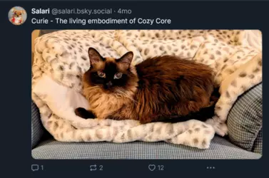 Screenshot 2025-02-01 at 23-38-04 Salari (@salari.bsky.social) — Bluesky.png Screenshot 2025-02-01 at 23-38-04 Salari (@salari.bsky.social) — Bluesky.png