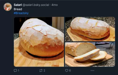 Screenshot 2025-02-01 at 23-39-03 Salari (@salari.bsky.social) — Bluesky.png Screenshot 2025-02-01 at 23-39-03 Salari (@salari.bsky.social) — Bluesky.png