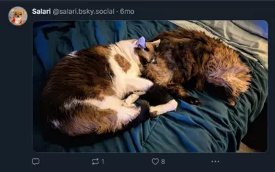 Screenshot 2025-02-01 at 23-55-21 Salari (@salari.bsky.social) — Bluesky.png Screenshot 2025-02-01 at 23-55-21 Salari (@salari.bsky.social) — Bluesky.png