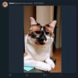 Screenshot 2025-02-02 at 00-00-49 Salari (@salari.bsky.social) — Bluesky.png Screenshot 2025-02-02 at 00-00-49 Salari (@salari.bsky.social) — Bluesky.png