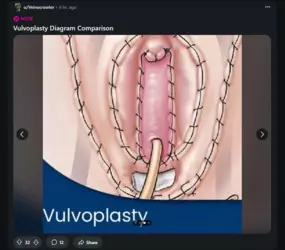 Screenshot 2025-02-10 193042.png Screenshot 2025-02-10 193042.png