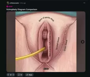 Screenshot 2025-02-10 193031.png Screenshot 2025-02-10 193031.png