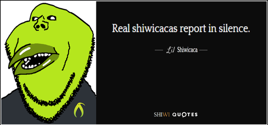 kiwicacas report in silence.webp kiwicacas report in silence.webp