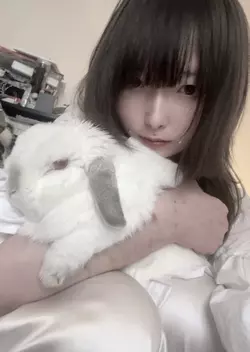 Bunny_Rabbit.webp Bunny_Rabbit.webp