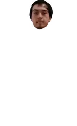 Synth Face.webp Synth Face.webp