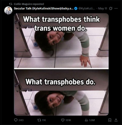 transphobes.webp transphobes.webp